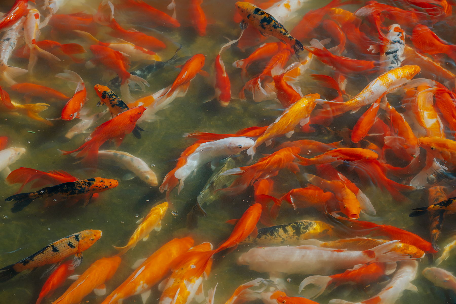 Photographie de reportage en Chine