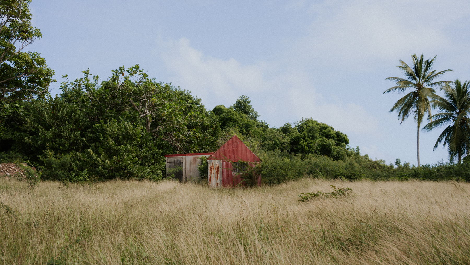 Photographie de reportage en Guadeloupe