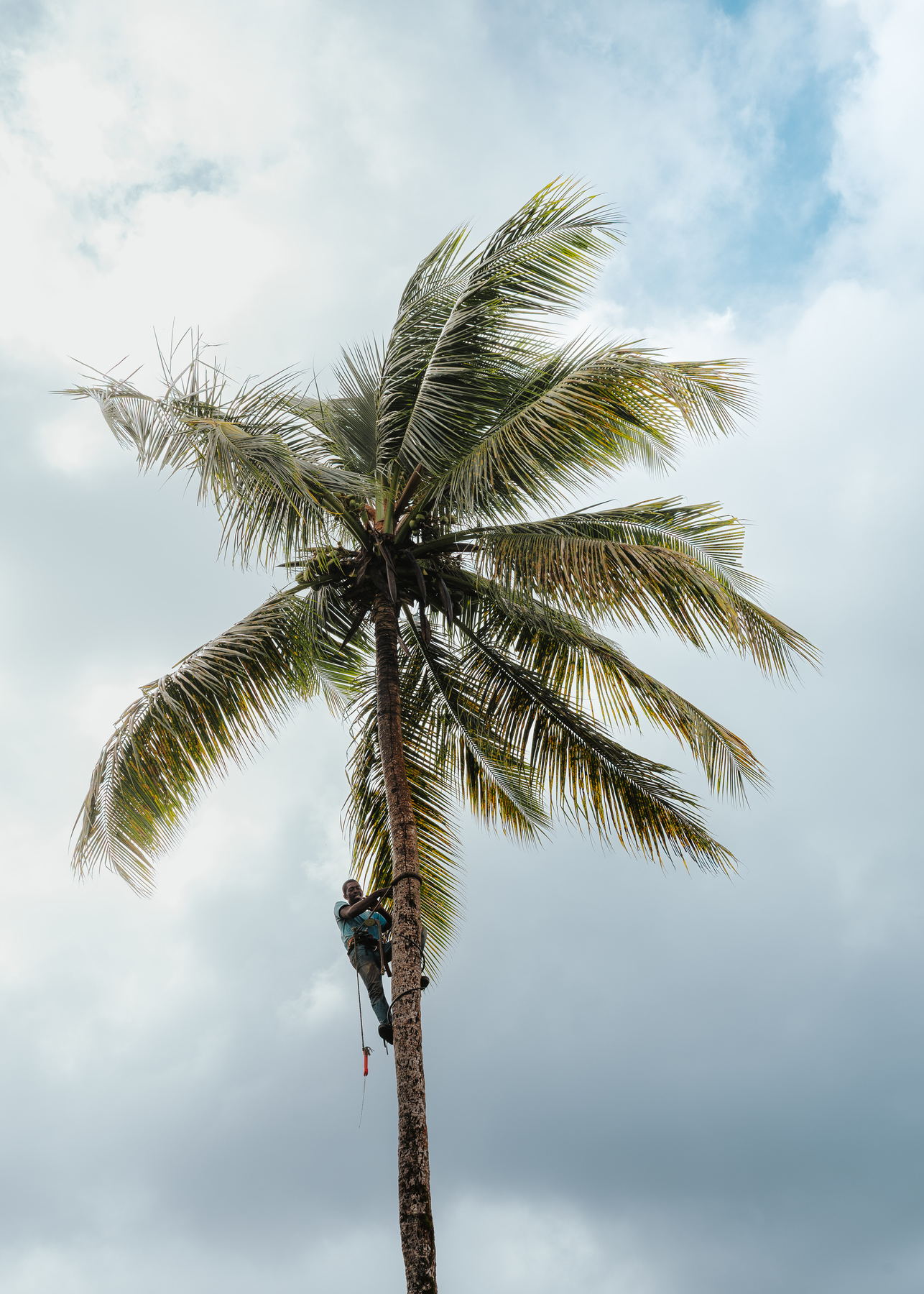Photographie de reportage en Guadeloupe