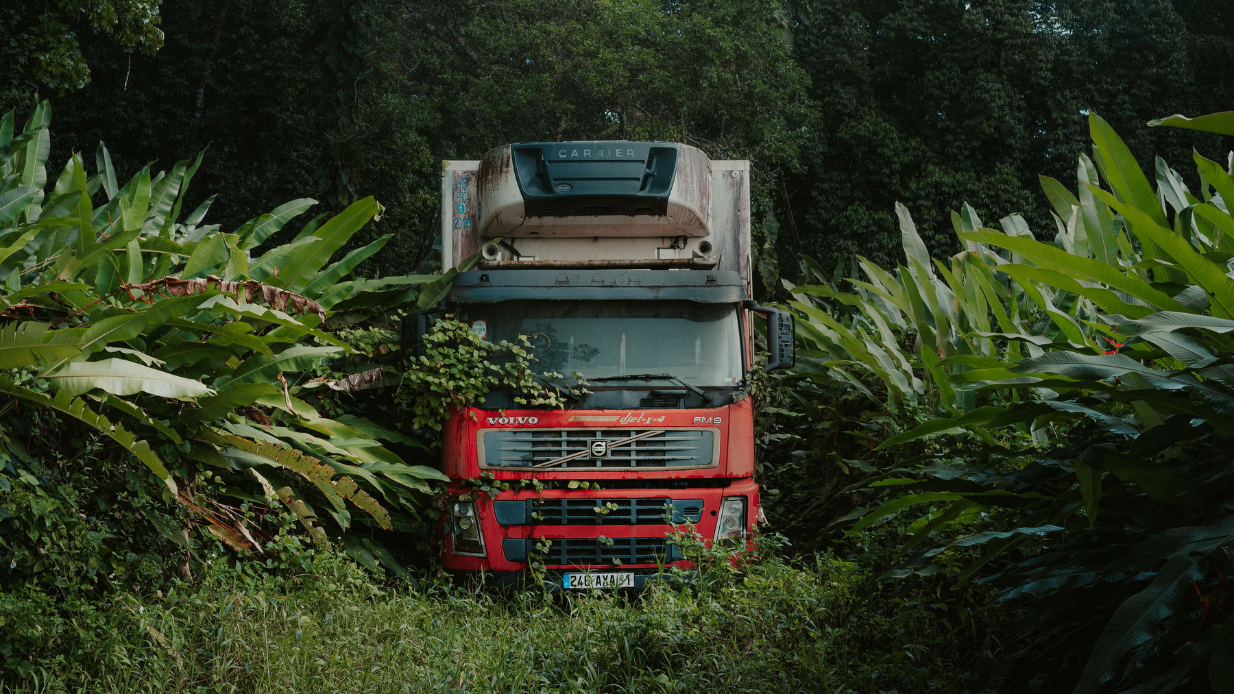 Photographie de reportage en Guadeloupe