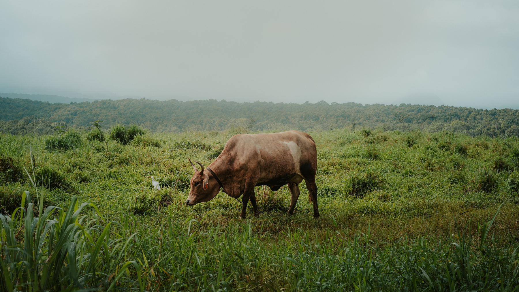 Photographie de reportage en Guadeloupe
