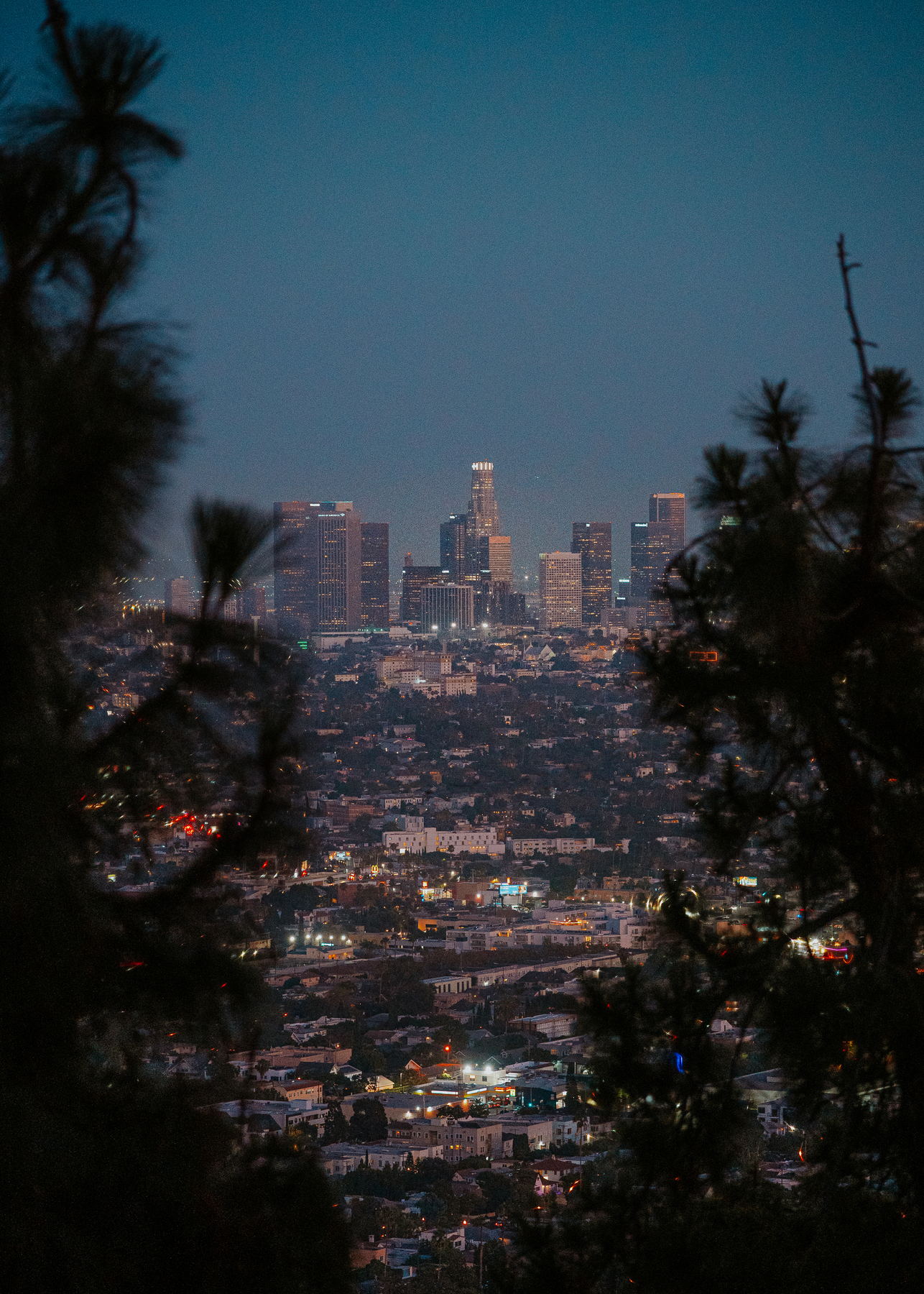 Downtown Los Angeles au crépuscule, vu entre des palmiers depuis les hauteurs