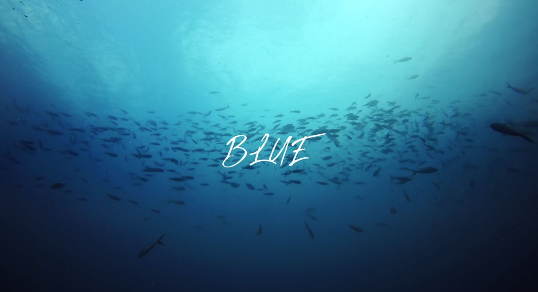 Carton-titre du film Blue, en plongée sous-marine