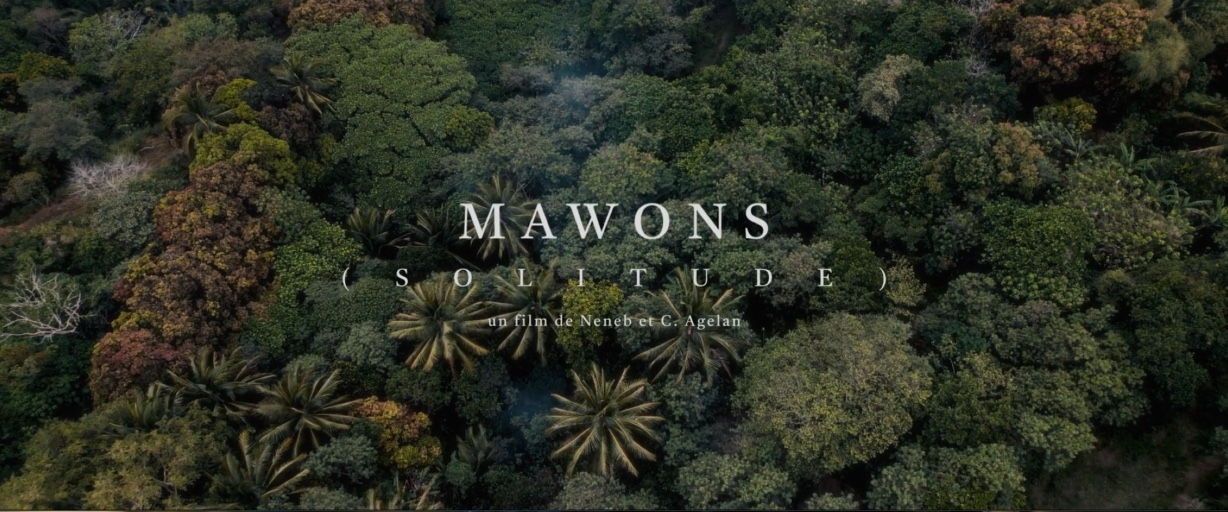 Image du court métrage Mawons (Solitude) : vue aérienne de la canopée tropicale