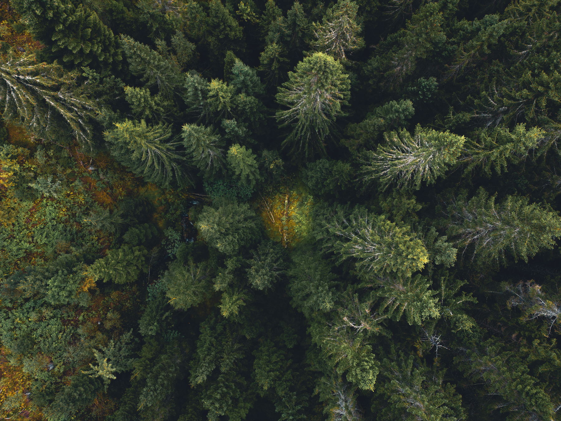 Photographie de paysage de la série Nuances