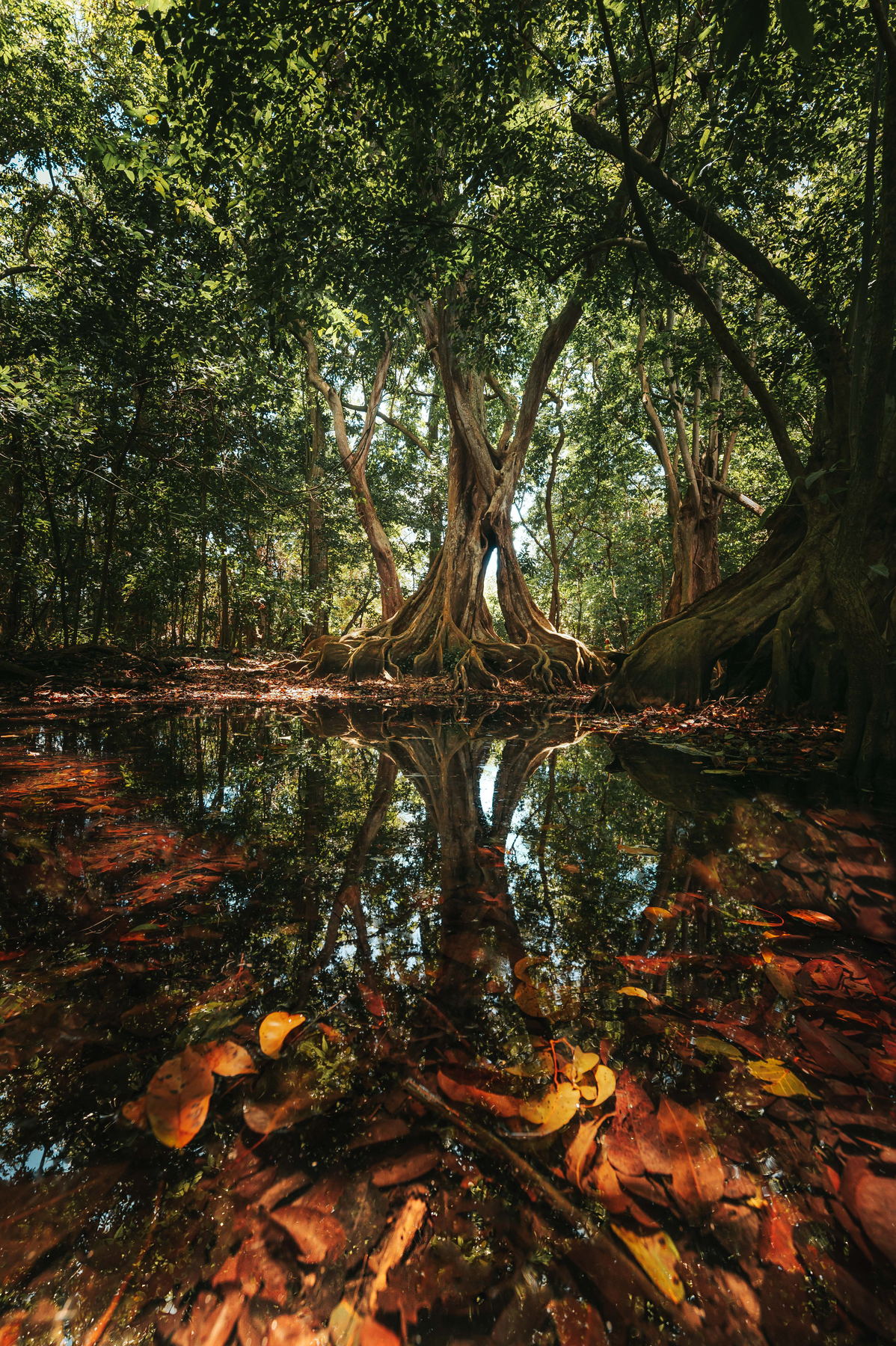 Photographie de paysage de la série Nuances