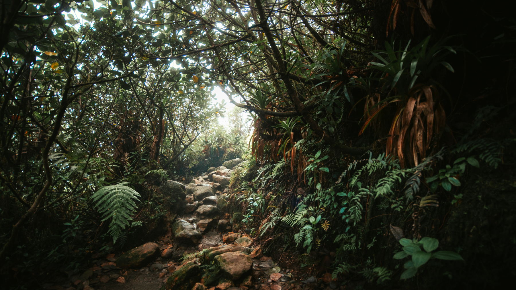 Photographie de paysage de la série Nuances