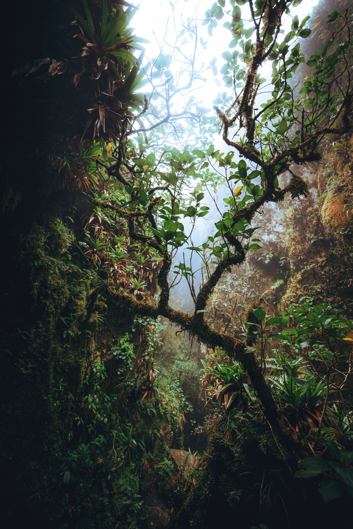 Photographie de paysage de la série Nuances