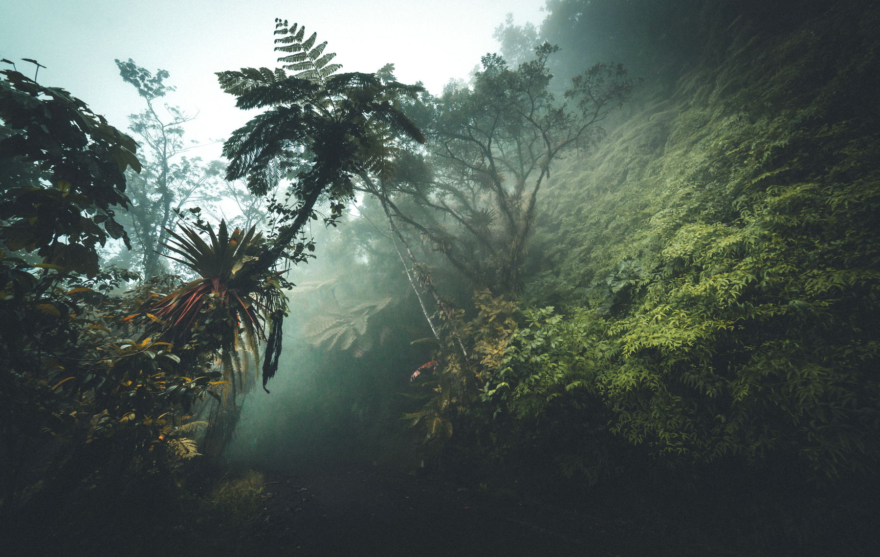 Photographie de paysage de la série Nuances